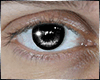 Eyes GREY unisex (M)