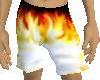 Fire Trunks