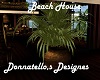 beach house plant 4