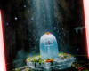 Shivji