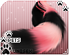 [Pets] Cass | tail v 1