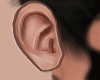 smooth Ears