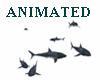 SHARKS ANIMATED