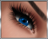 T* Navy Eyes M / F