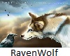 RavenWolf Fall Club