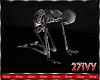 IV.Skeleton