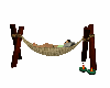 Hammock