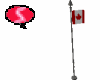 S. Canadian Flag