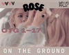 Rose-On The Ground