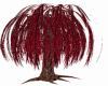 (al)dark red willow tree