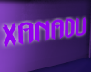 JEN XANADU NEON