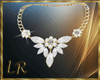 {L} Carina Set