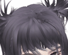 shiro