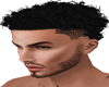Curly Black Hair