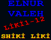 ELNUR VALEH