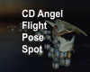 CD Angel Flight Pose