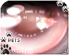 [Pets] Dei | eyes v1