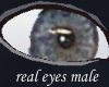 real eyes male