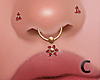 CK DRV Septum Combo V3