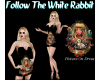 Follow The White Rabbit