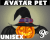 *BO AVI PET PUMPKIN #1
