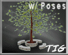 DR Chat Tree w-Poses