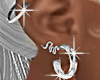 silver earrings