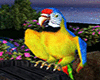 Dreamy Island Parrot