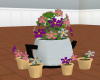{D}Flowers in pot