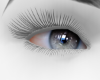 greey eyes
