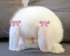 bunni