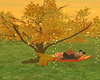 XK*Tree Romantic W/Poses