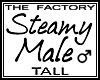 TF Steamy Male Avi Tall