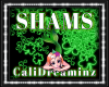 SHAMS * NEON SHAMROCK