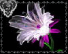 *J* Purple Flower