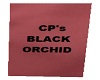 CP's Black Orchid