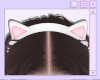 Cat Headband - White