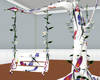 Dragonfly Swing2