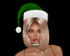 Holly Bundle (v2)