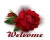 Welcome Rose
