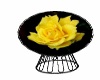 chair yellow rose /pose