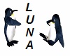 ANIMATED PENGUINS