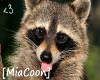 [Coon]ASPCA Poster DOC