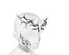 head look