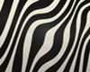 boundle zebra r