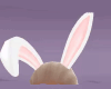 BF- Bunny Ears Anim