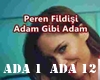PEREN FILDISI