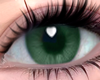 Nivia Green Eyes