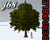 J68 Derivable Tree Large