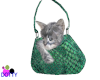 kitty purse green